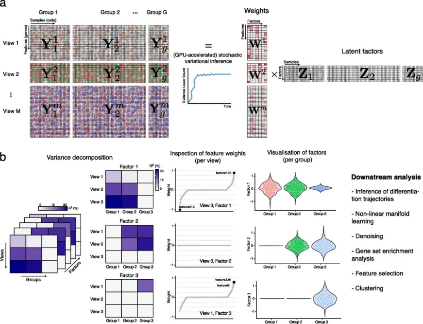 MOFA+ framework for multi-group and multi-view single-cell data integration showing shared and private factors